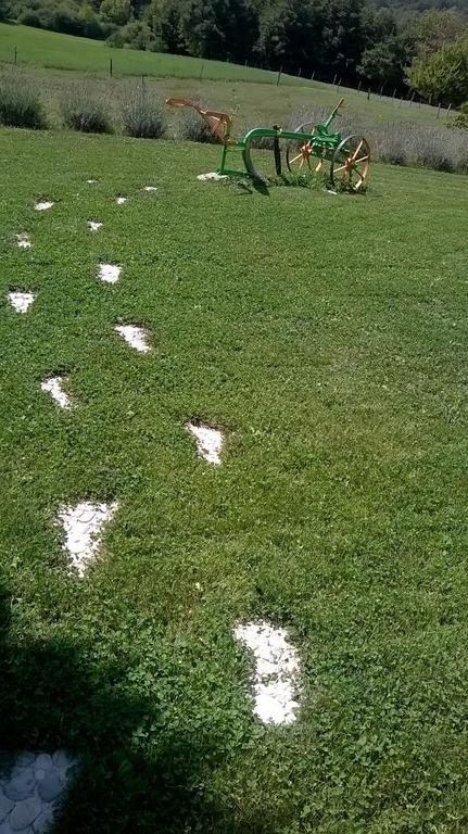 Agroturism Stara Stala Hotel Borut Екстериор снимка