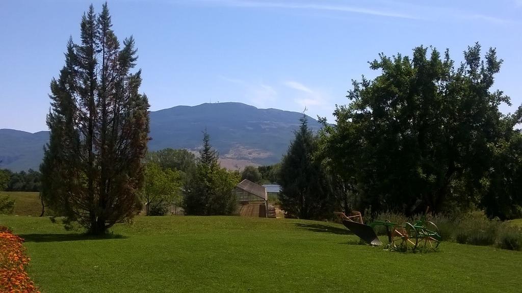Agroturism Stara Stala Hotel Borut Екстериор снимка