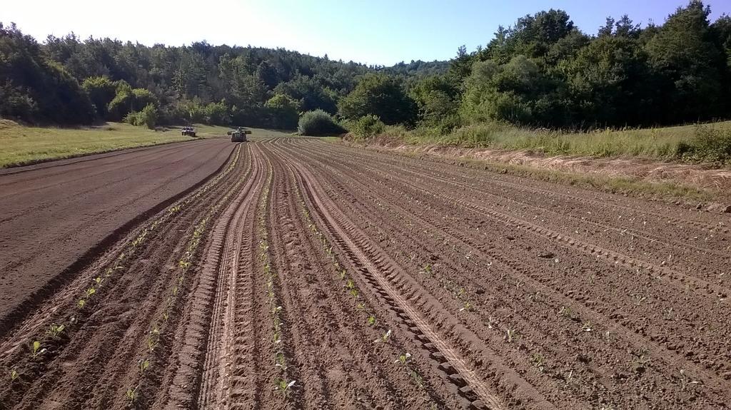 Agroturism Stara Stala Hotel Borut Екстериор снимка