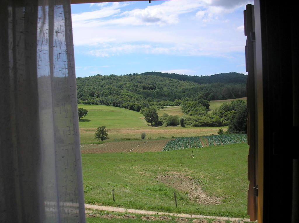 Agroturism Stara Stala Hotel Borut Стая снимка