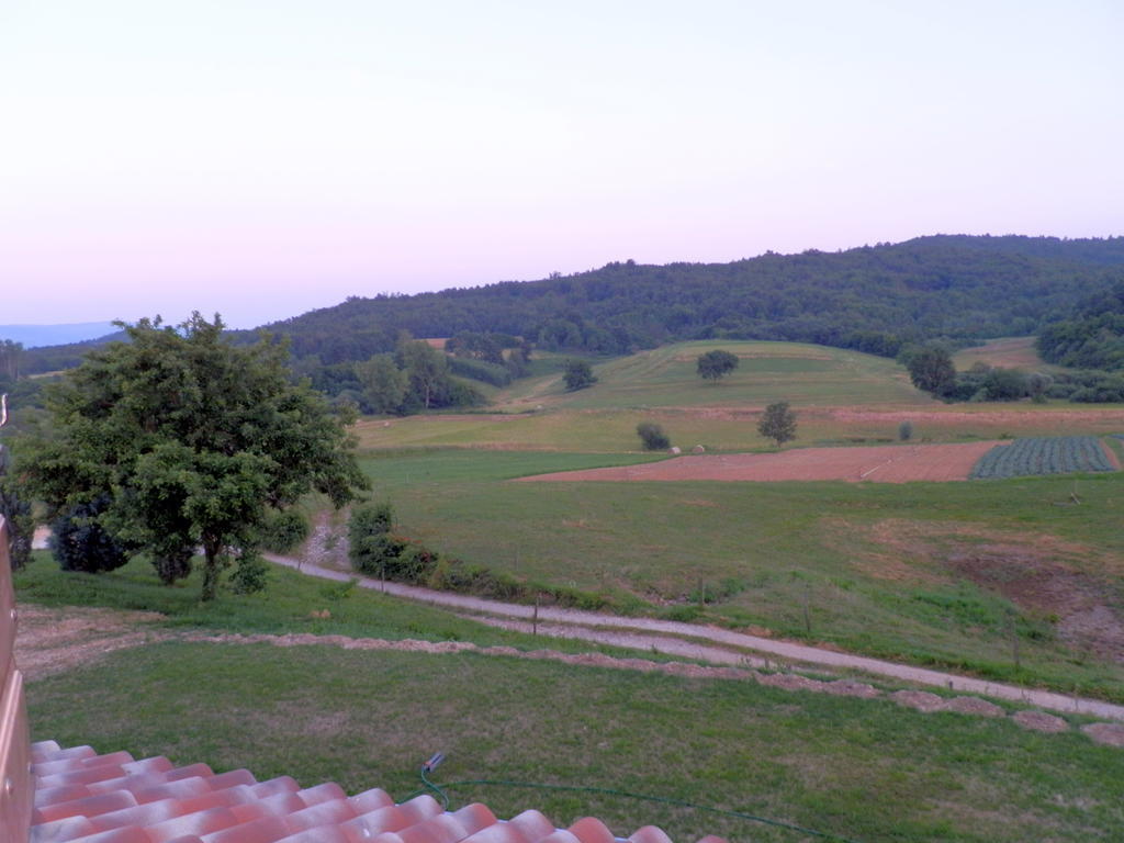 Agroturism Stara Stala Hotel Borut Стая снимка